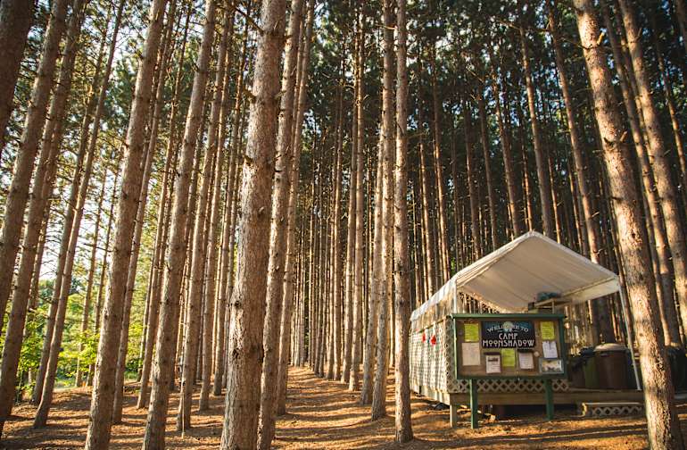 The 30 Best Campgrounds Near Maple City Michigan