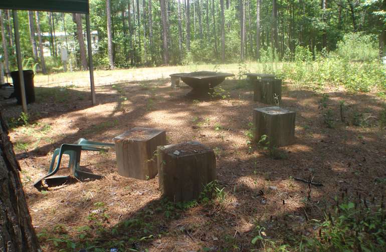 Best Camping In And Near Homochitto National Forest