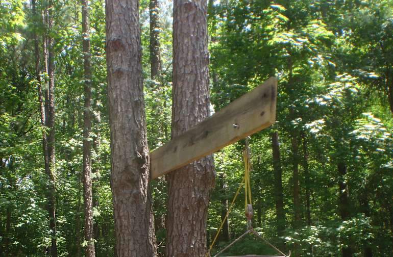 1 Campground in Kisatchie National Forest + over 30 ...
