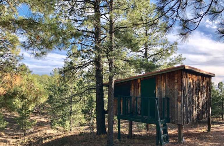 Best Camping In And Near Villanueva State Park