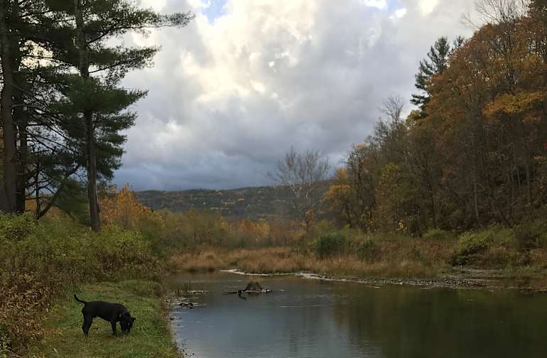 The 30 Best Campgrounds Near Albany New York