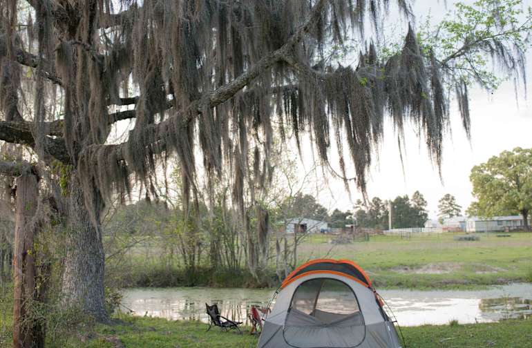 Best Camping In And Near Huntsville State Park
