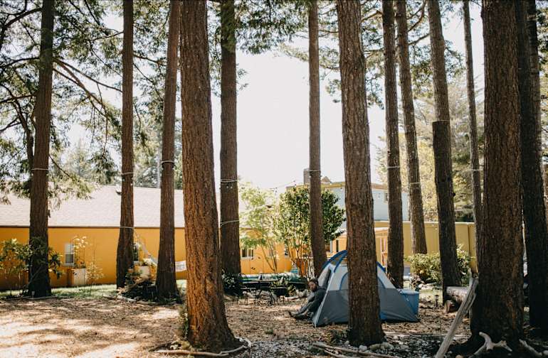 Best Camping In And Near Cape Blanco State Park