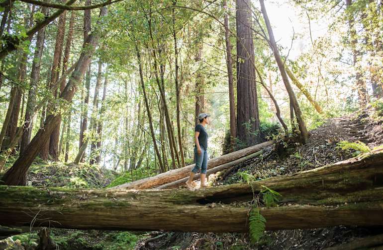 Camping Near San Francisco The 20 Best Campgrounds Hipcamp