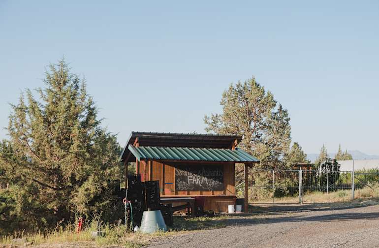 Camping Near Sisters The 20 Best Campgrounds Hipcamp