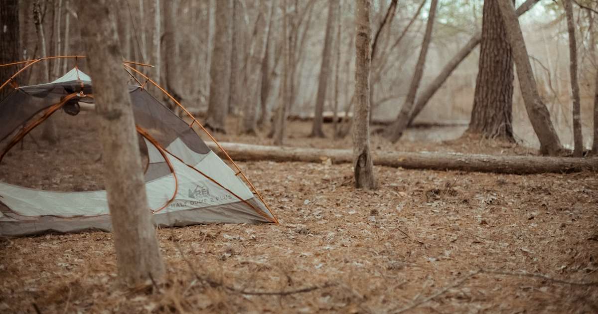 The 27 Best Campgrounds Near Lake Murray South Carolina