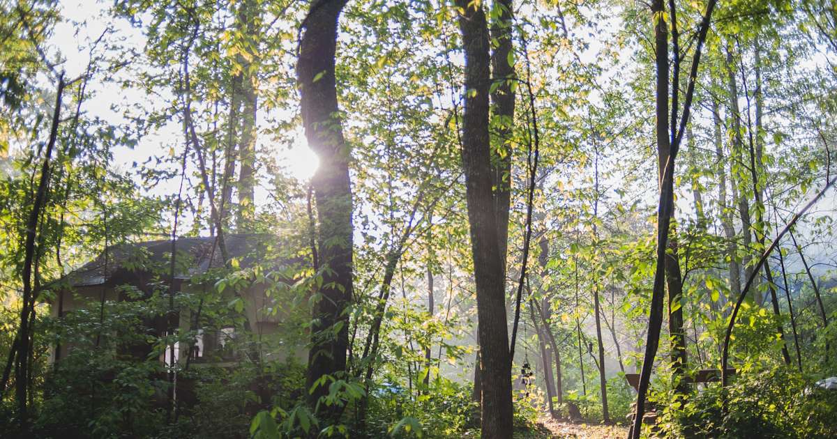 The 26 Best Cabin Rentals In Ohio