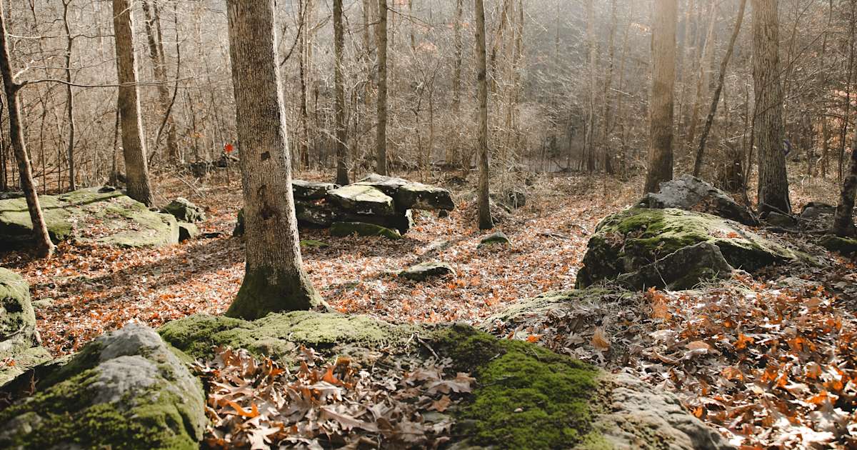 20 Best Camping Spots Around Salt Fork State Park
