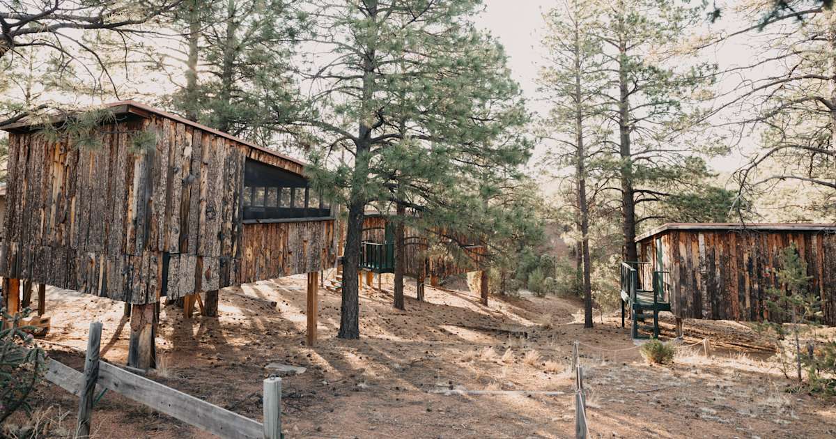 Best Camping In And Near Hyde Memorial State Park