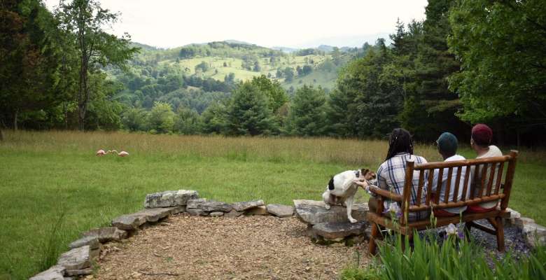 Best Camping In And Near Monongahela National Forest