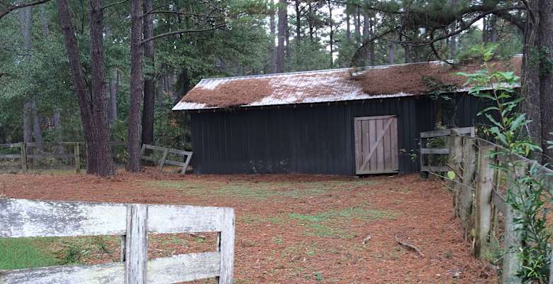 Best Camping In And Near Bienville National Forest