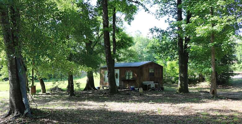 The 30 Best Campgrounds Near Collins Mississippi