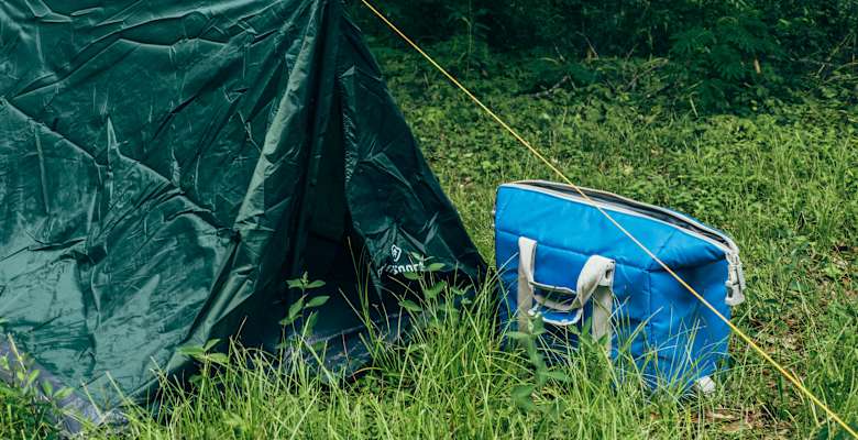 Best Camping In And Near Lake Claiborne State Park