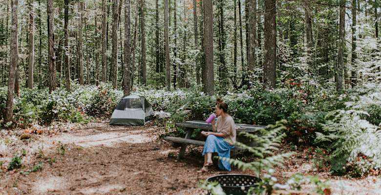 Camping Near Ross Lake The 20 Best Campgrounds Hipcamp