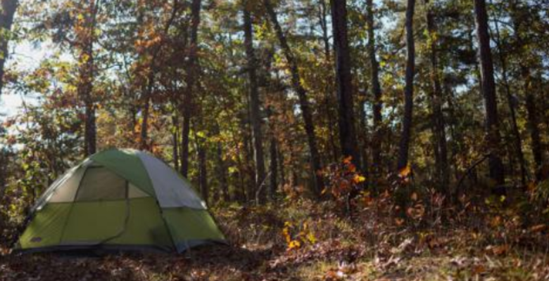 Best Camping In And Near South Toledo Bend State Park