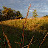 Prairie Lake Campground Jim Edgar Panther Creek Il
