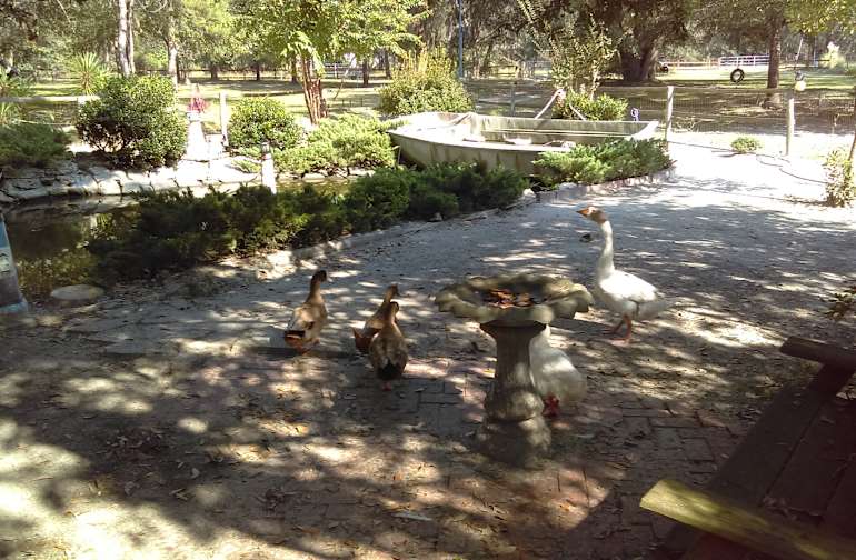 The 30 best campgrounds near Hilton Head Island, South ...