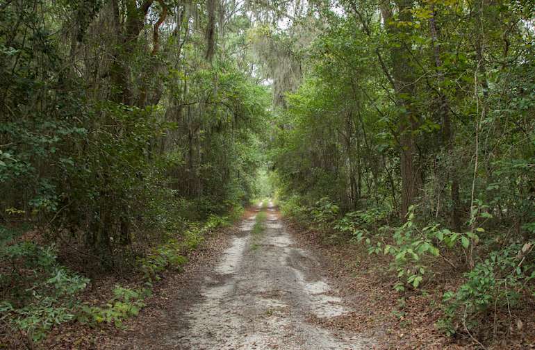 The 30 Best Campgrounds Near Hilton Head Island South