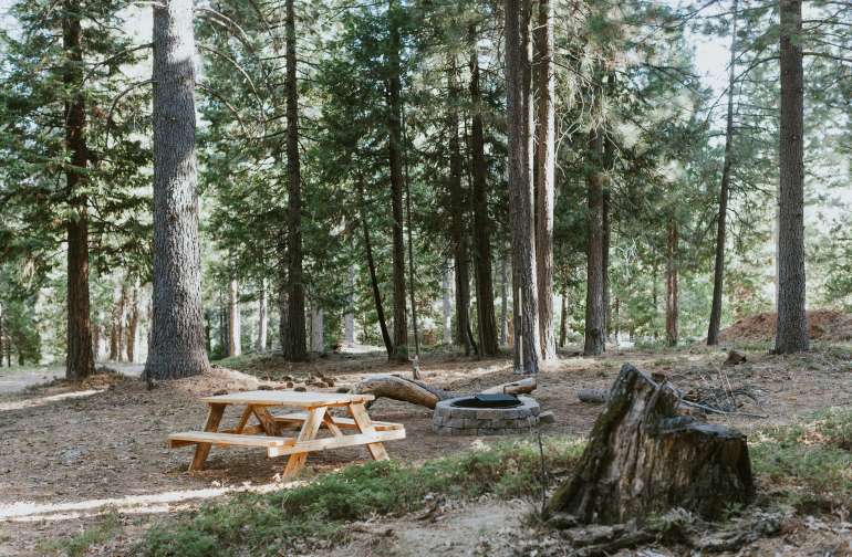 20 Amazing Campsites Near Calaveras Big Trees State Park ...
