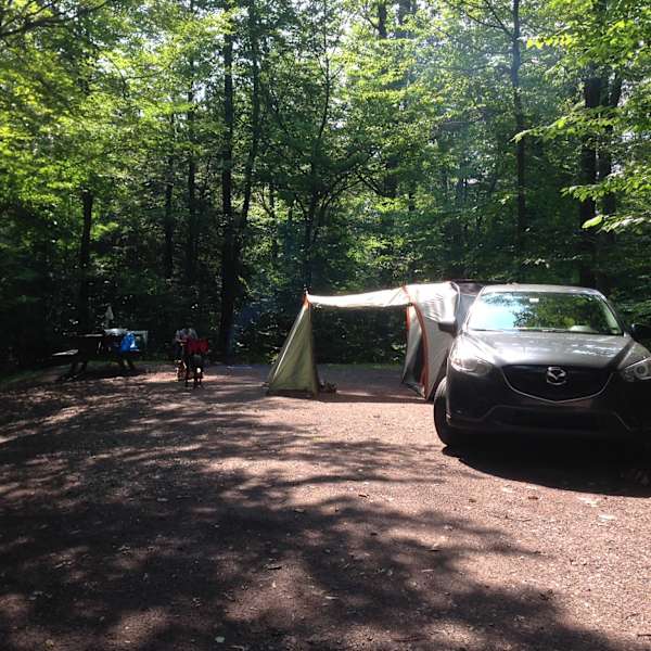 Ricketts Glen Park Campground Ricketts Glen Park Pa 9 Hipcamper