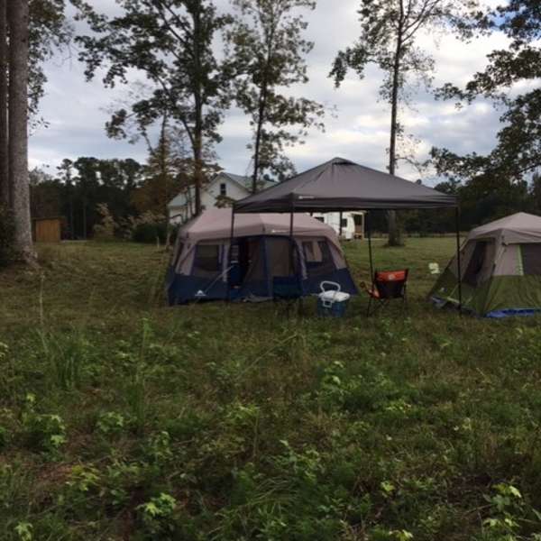 Best Camping In And Near Sumter National Forest
