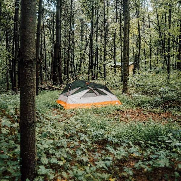 The 30 Best Campgrounds Near Blacksburg Virginia