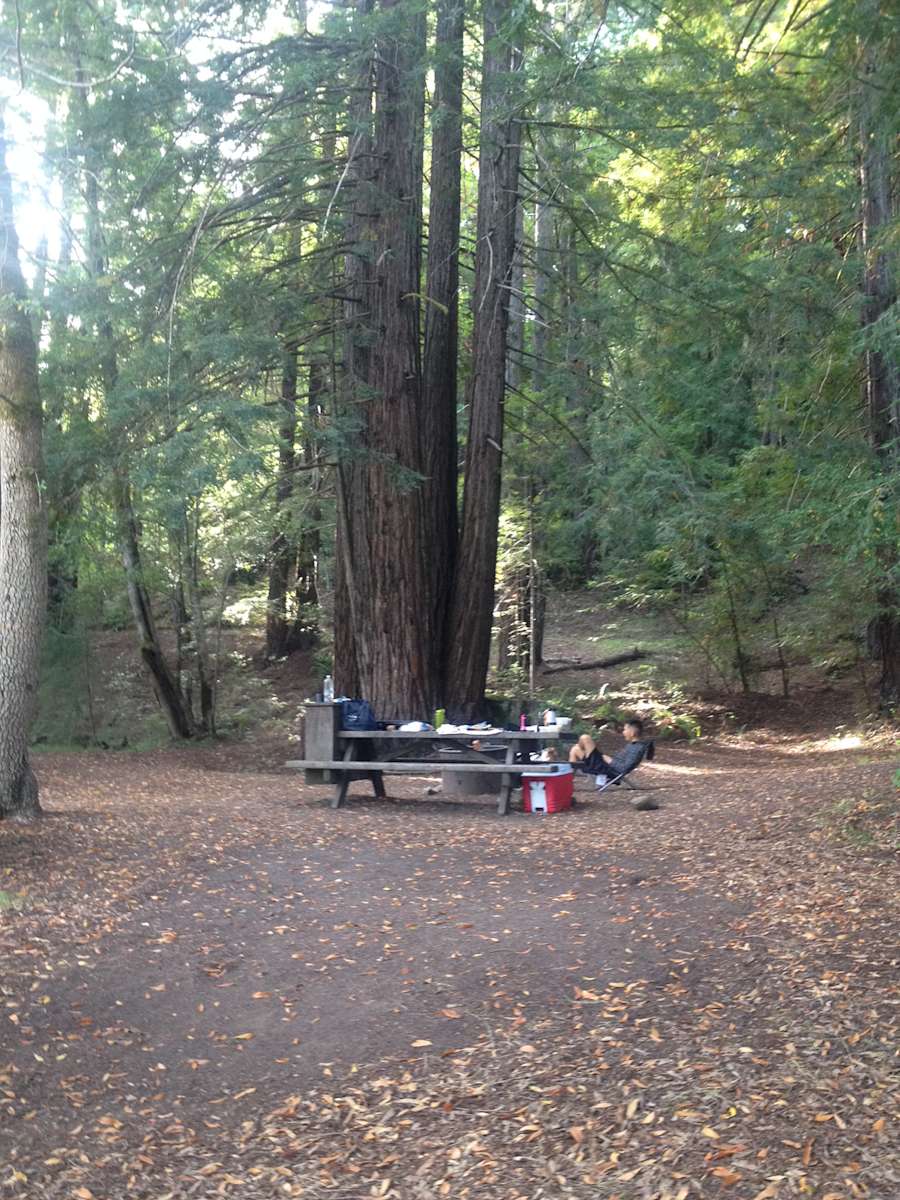 Hamilton Barn Environmental Camp Humboldt Redwoods Ca 3