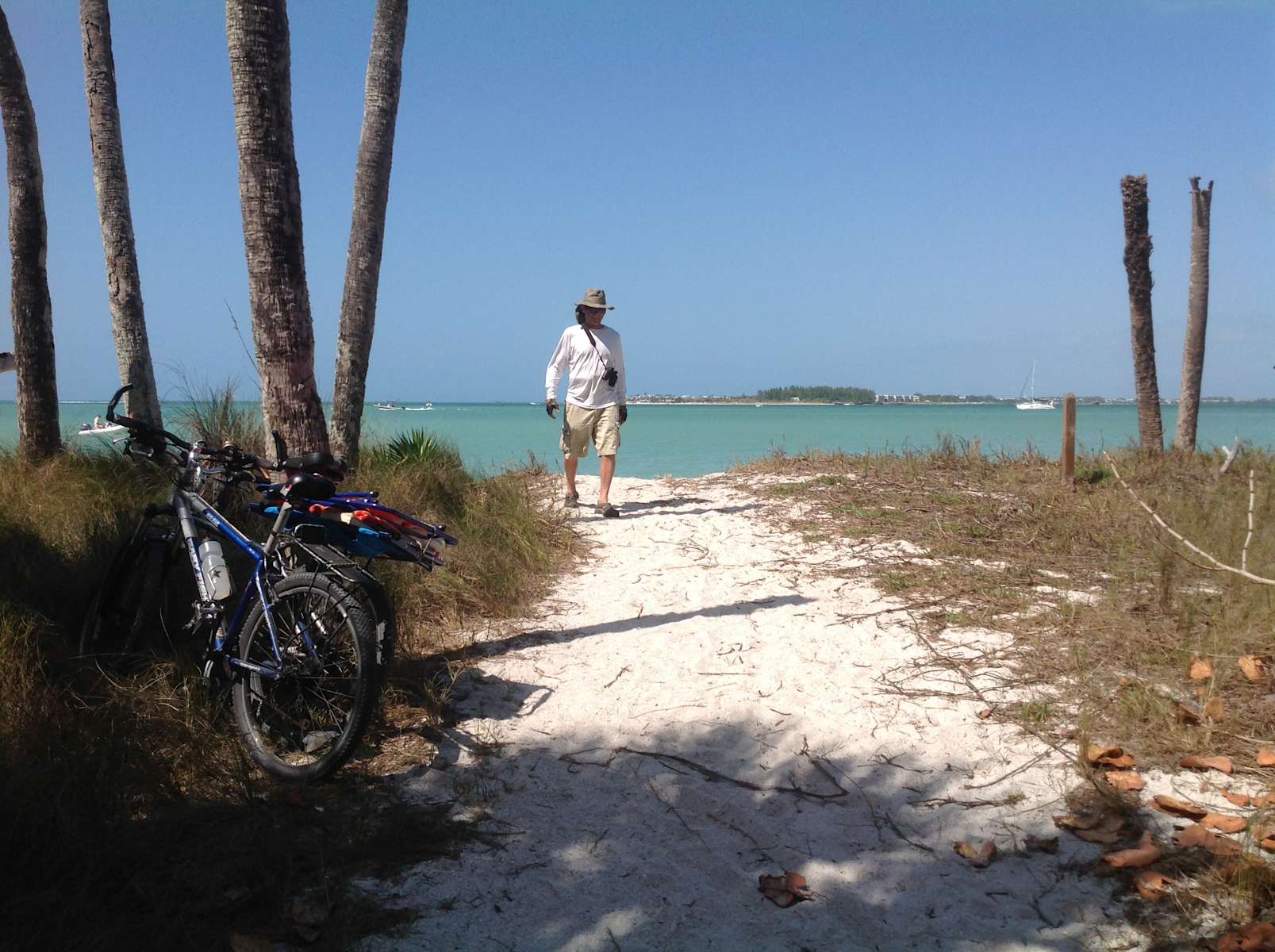 Cayo Costa Primitive Campground Cayo Costa Fl 2 Hipcamper