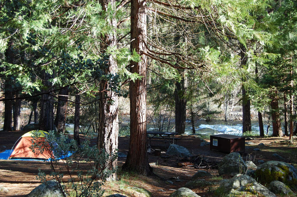 Wawona Campground - California RV park