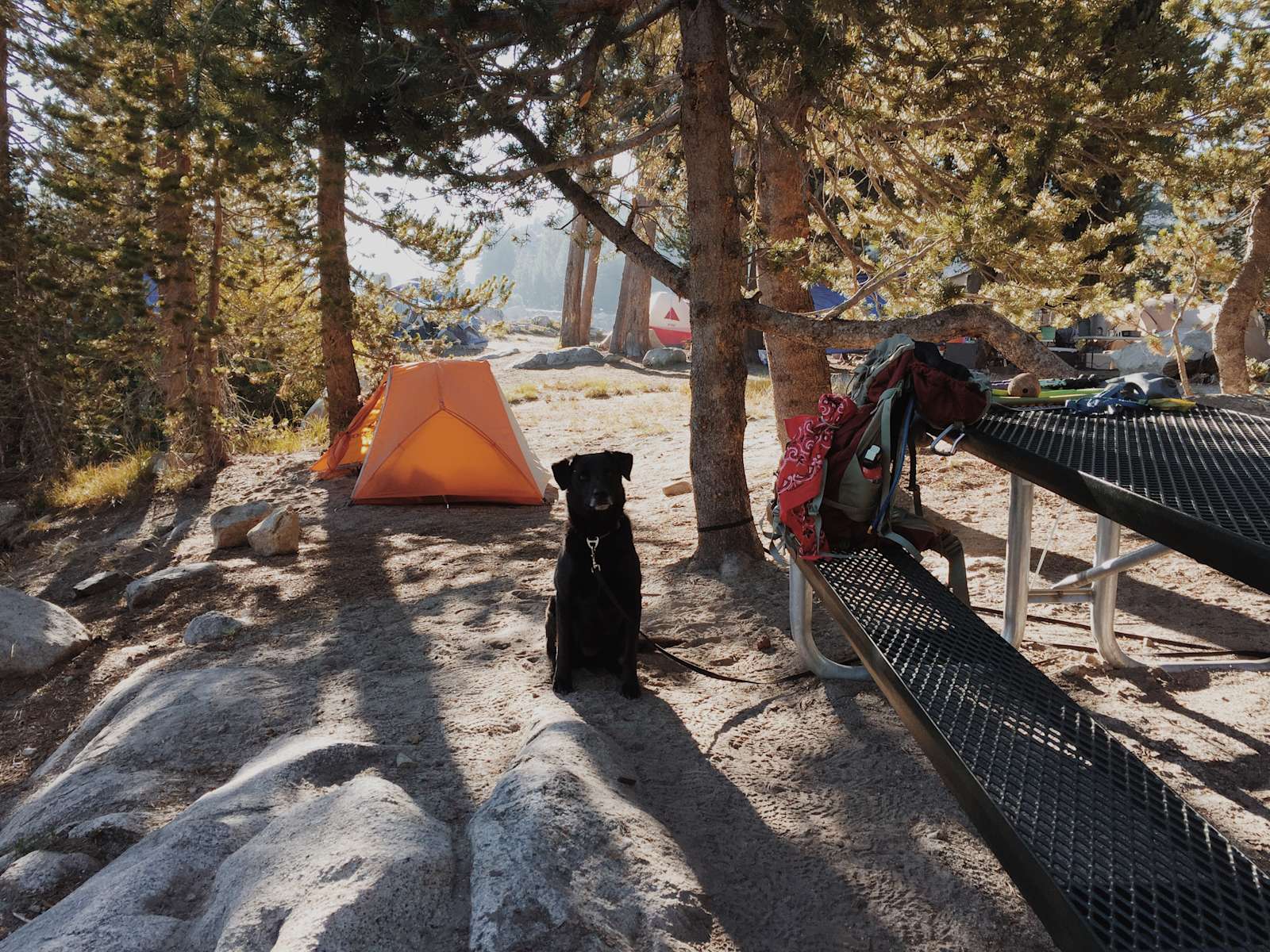 Marmot Rock Campground Sierra Ca 2 Hipcamper Reviews And 6 Photos