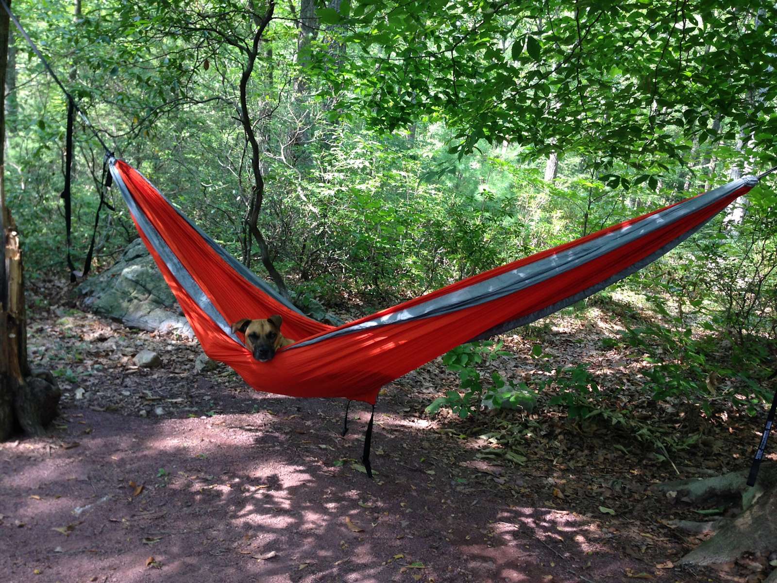 Hickory Run Park Campground Hickory Run Park Pa 3 Hipcamper