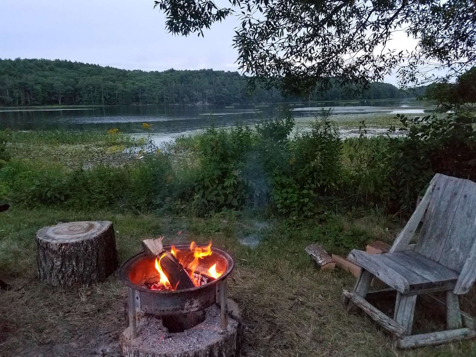 Pond Site