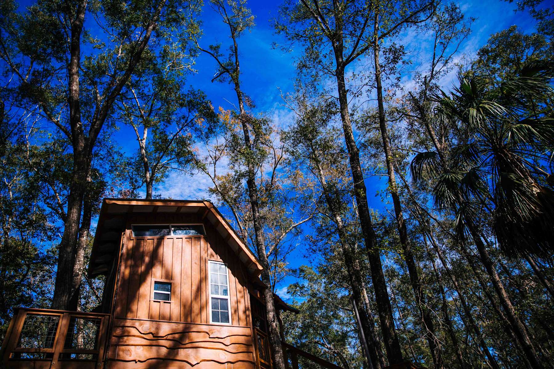 Tree House Cabin Retreat Near Manatee Springs State Park