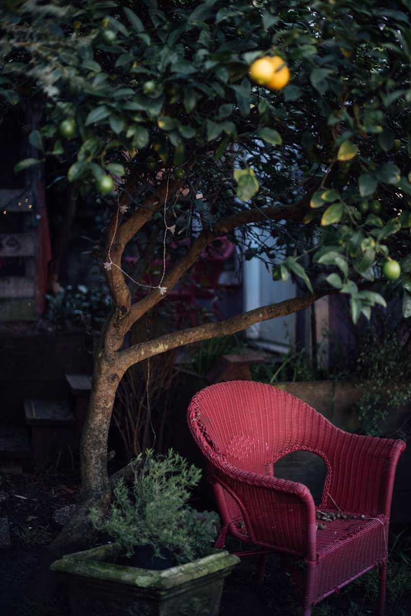 Garden Room Funky Urban Farm