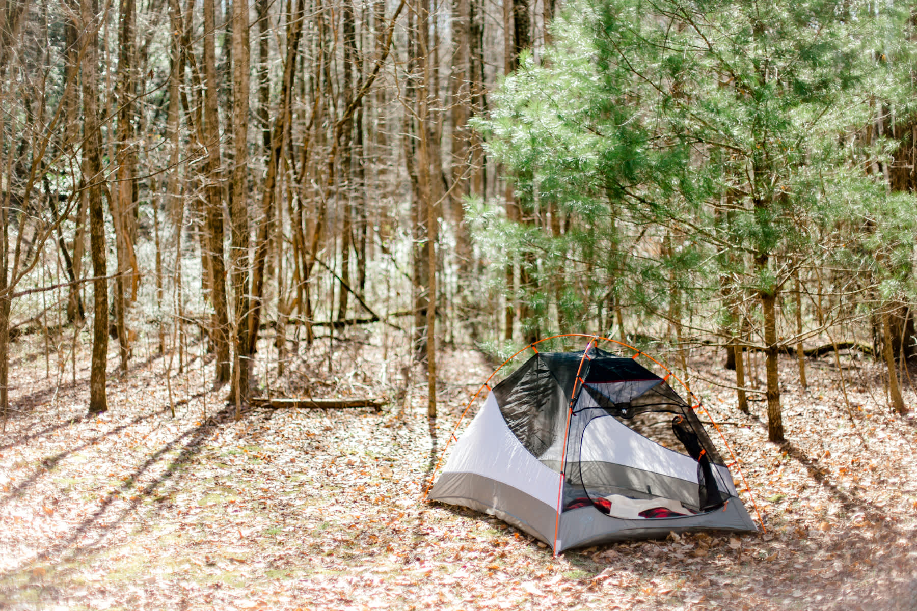 Celestial Halley Camping