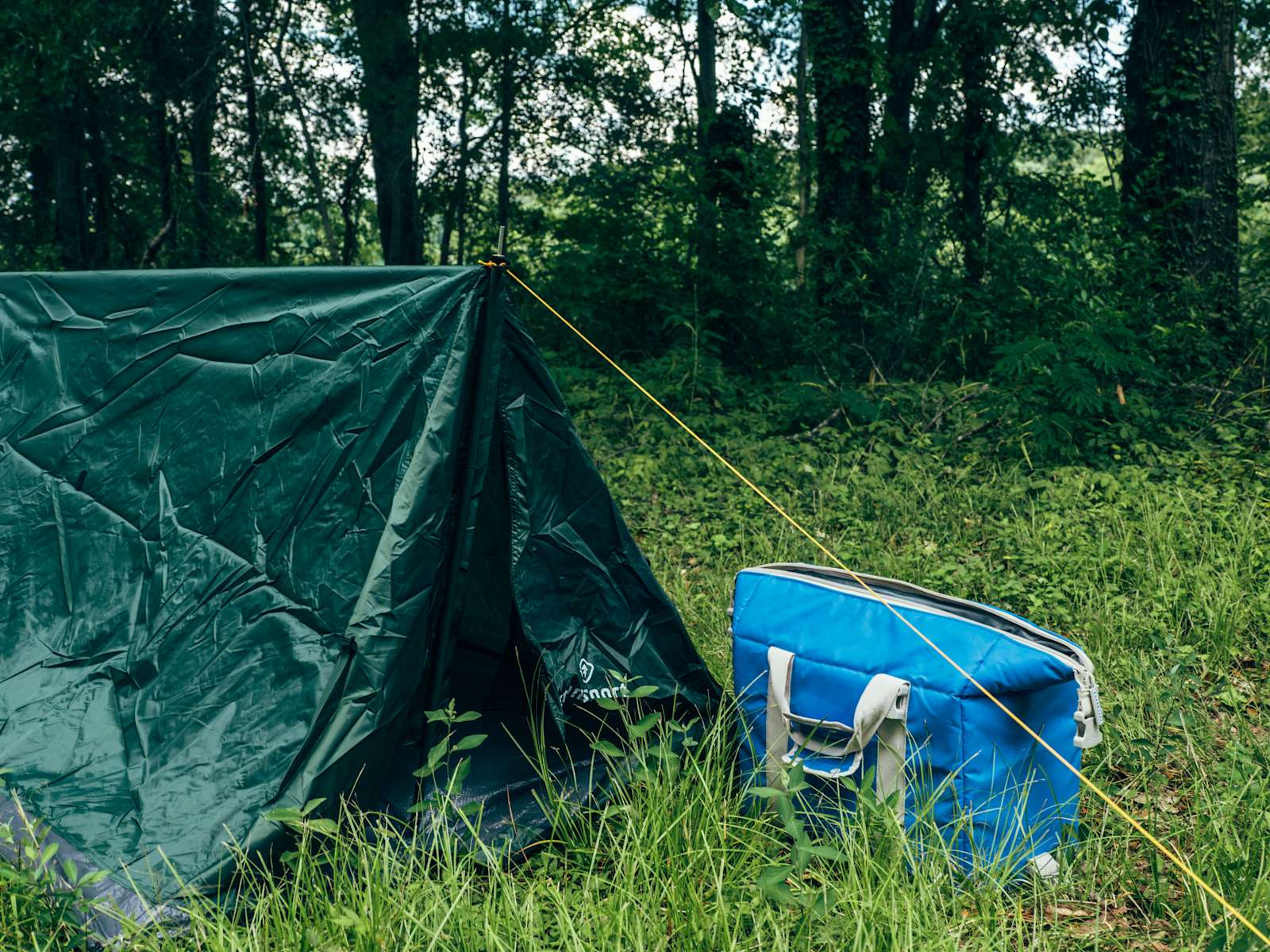 The 30 Best Campgrounds Near Monroe Louisiana