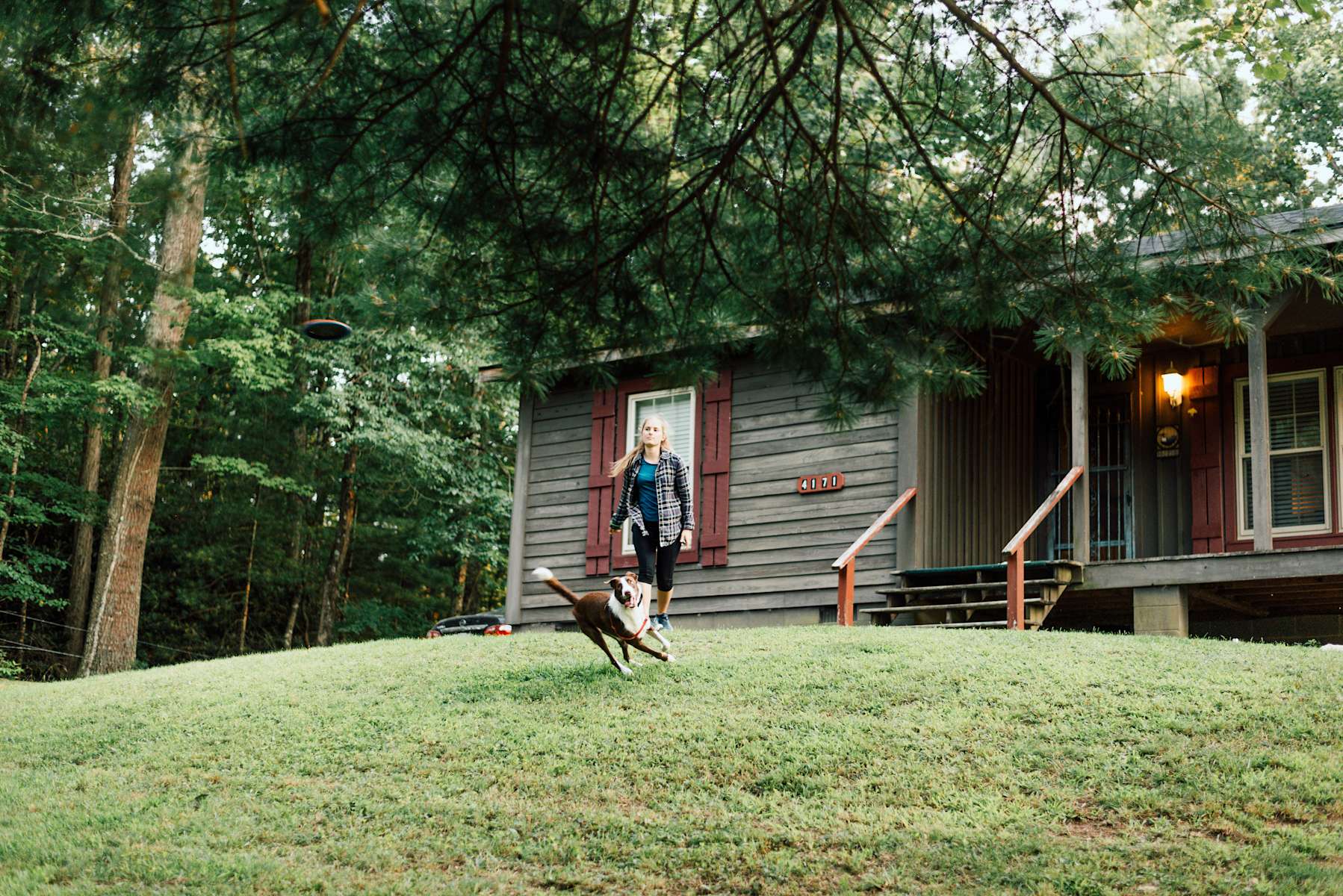 Bear Necessities Cabin Va Bear Necessities Cabin Va Va 2