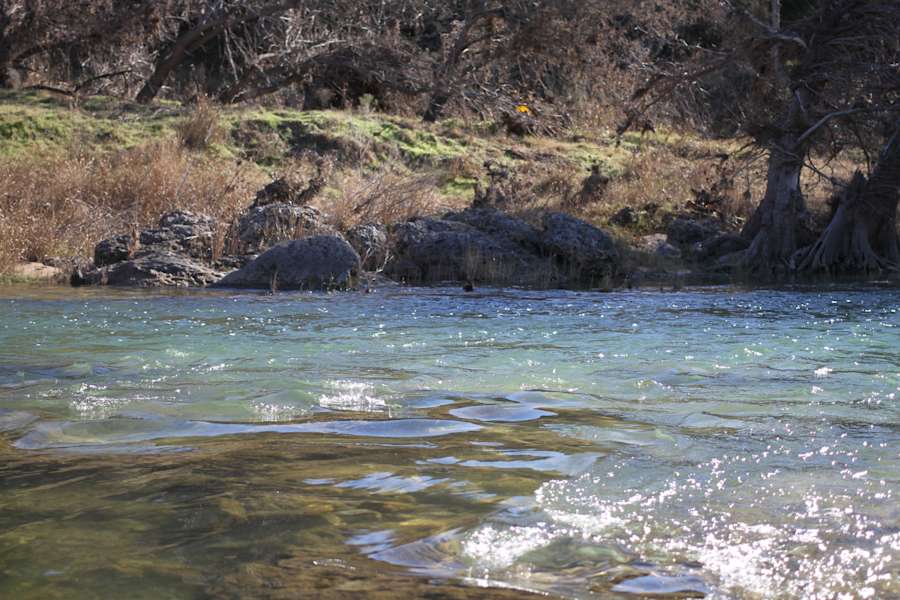 Pedernales Falls Campground Pedernales Tx 10 Hipcamper Reviews