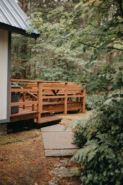 Best Camping In And Near Gifford Pinchot National Forest