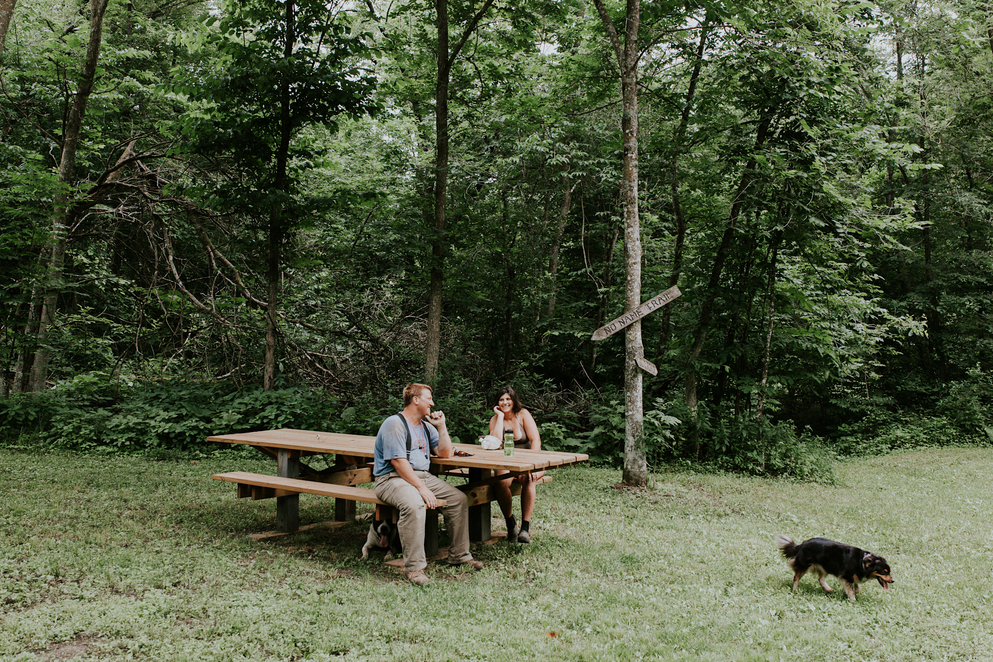 Why Positive Camp Reviews Matter And 3 Easy Ways To Get Them - Hipcamp  Journal