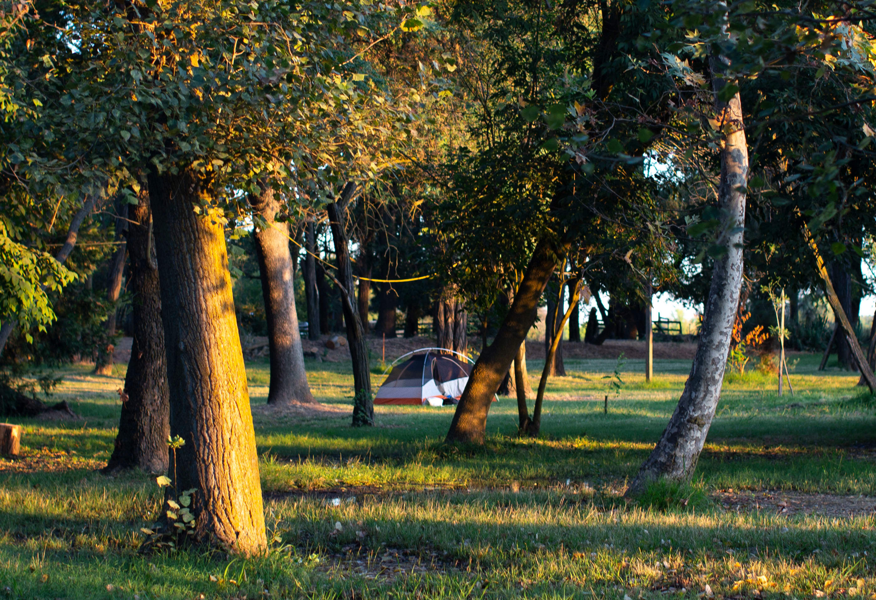 Ranch in Lodi.
