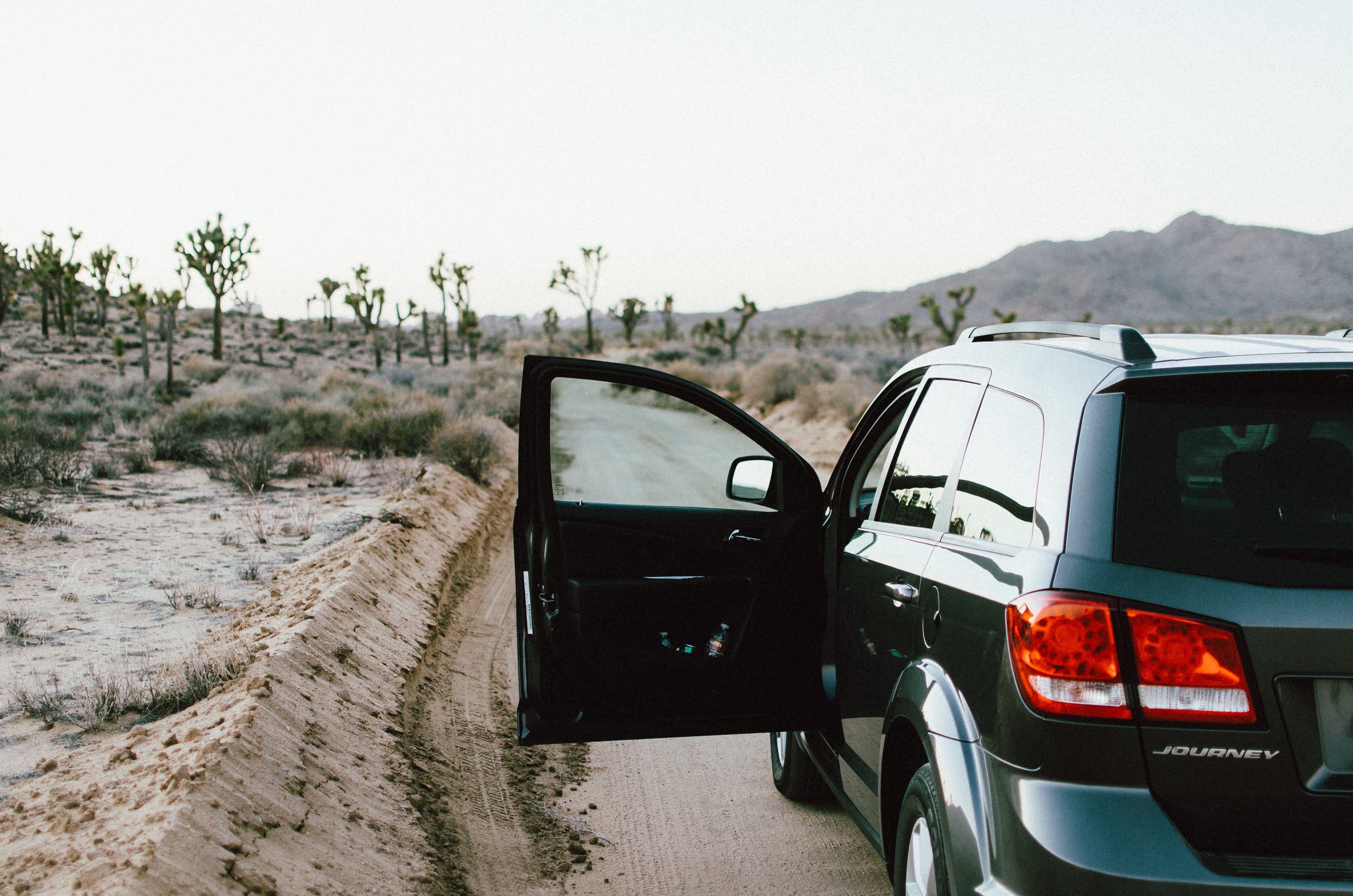 Can I Sleep In My Car At Joshua Tree Hipcamp Journal Stories For Hipcampers And Our Hosts