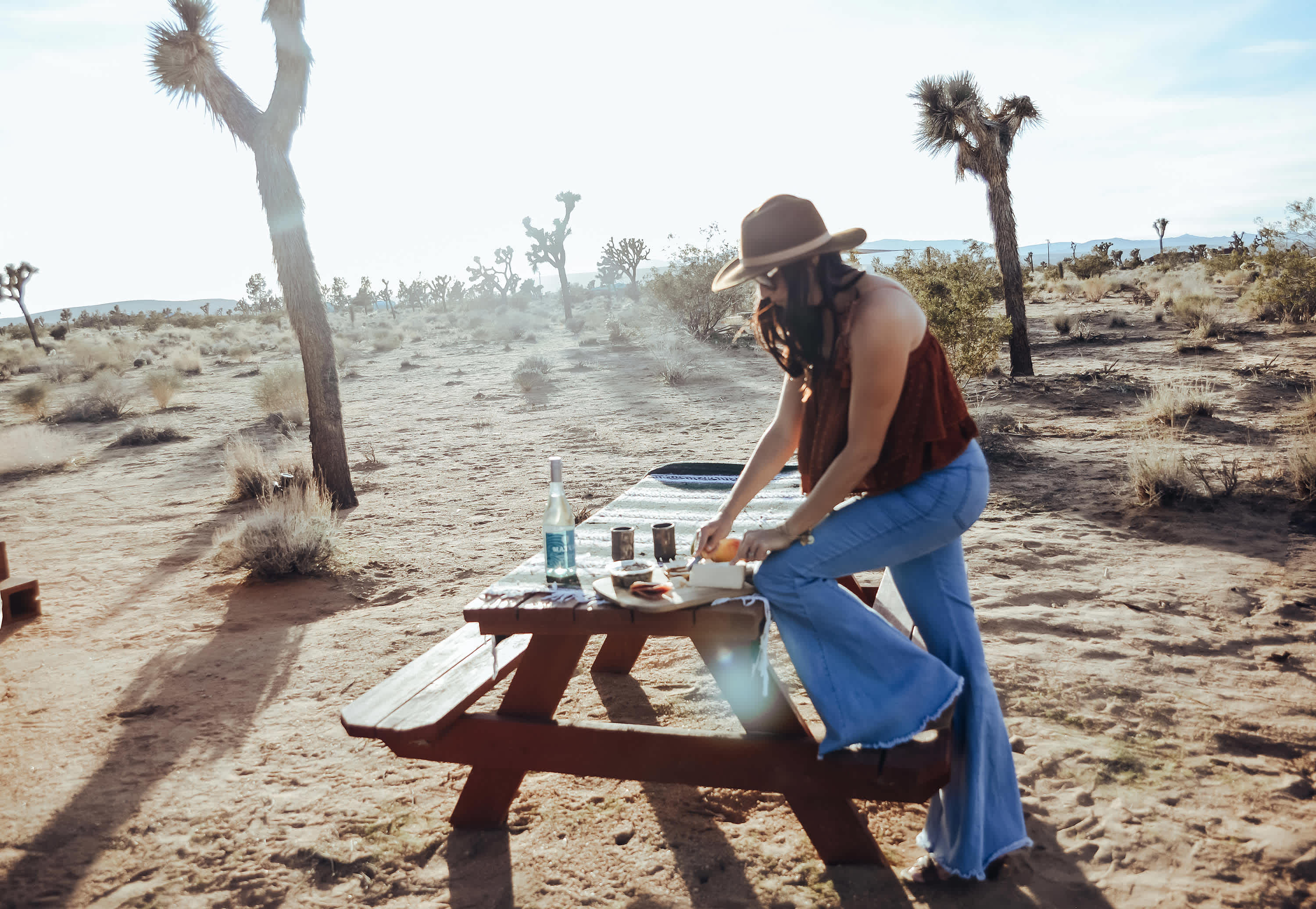 The top 10+ What does a joshua tree look like 2 Can You Touch a Joshua Tree? | Hipcamp Journal
