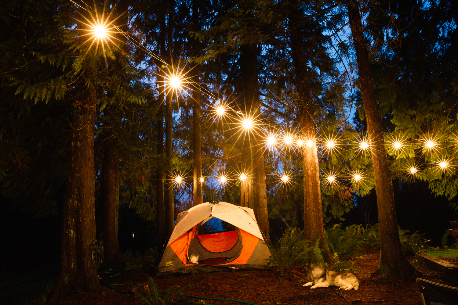 Campsite Lighting Ideas: Illuminate Your Nights - Campfire Society