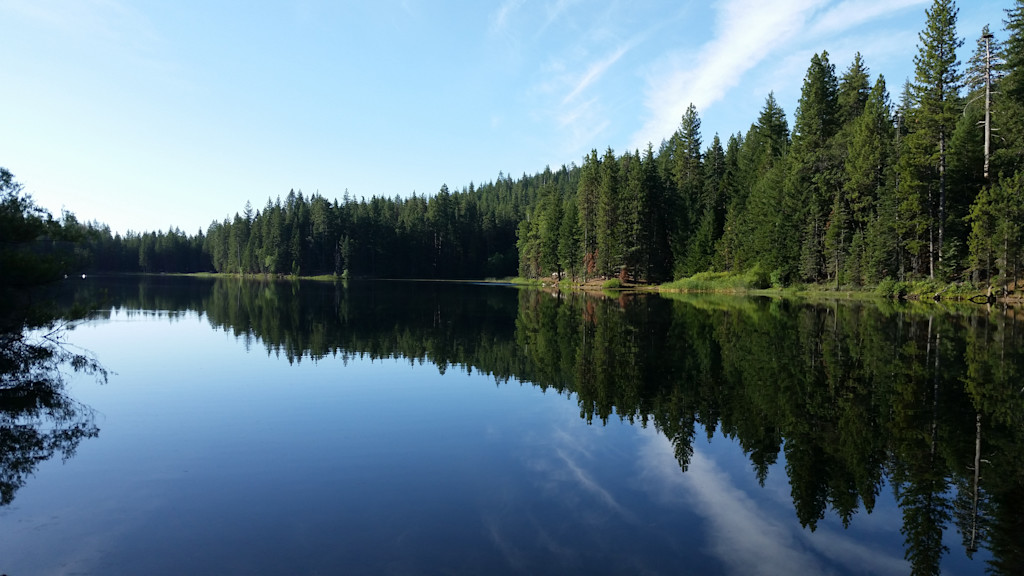 A Mendocino Forest lake