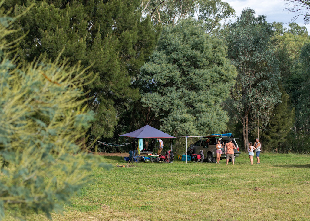 A group campsite for Christmas
