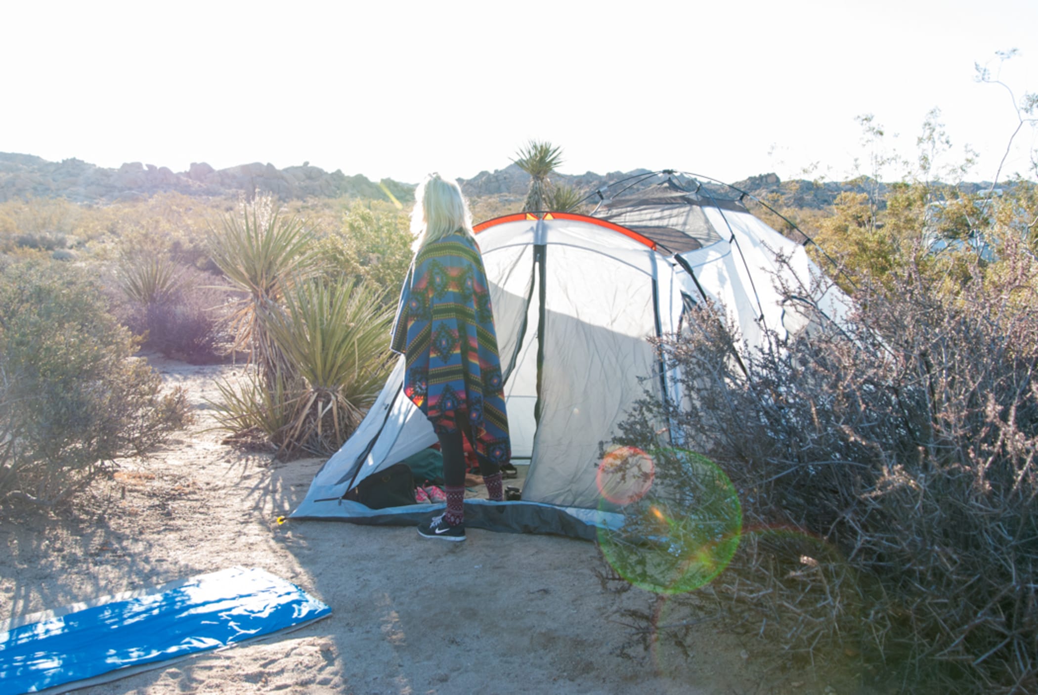 Is tent camping in Joshua Tree free?