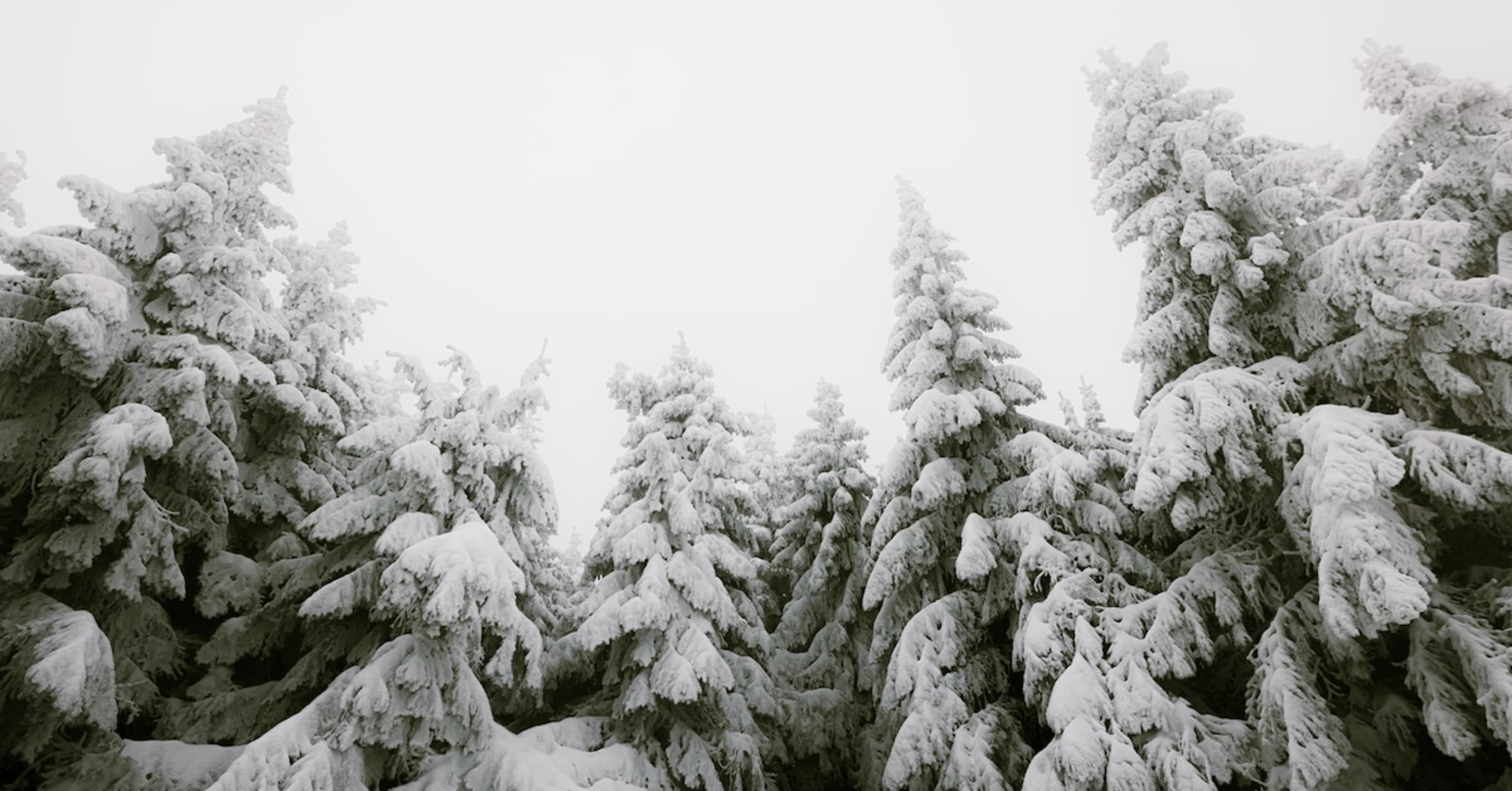 6 Incredible Winter Activities to Try in Ontario’s Wilderness