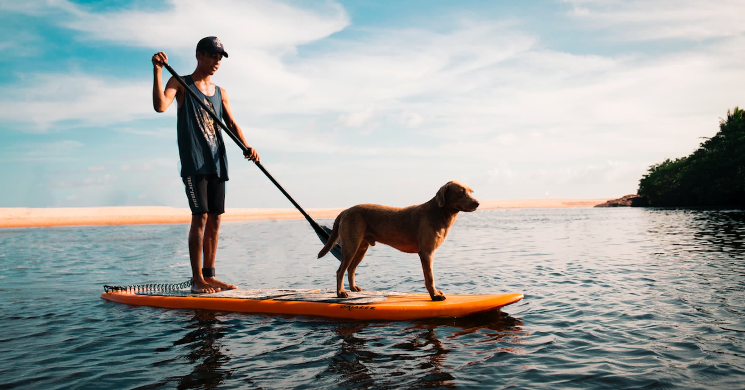 SUP Pup: How to Paddleboard with Your Dog
