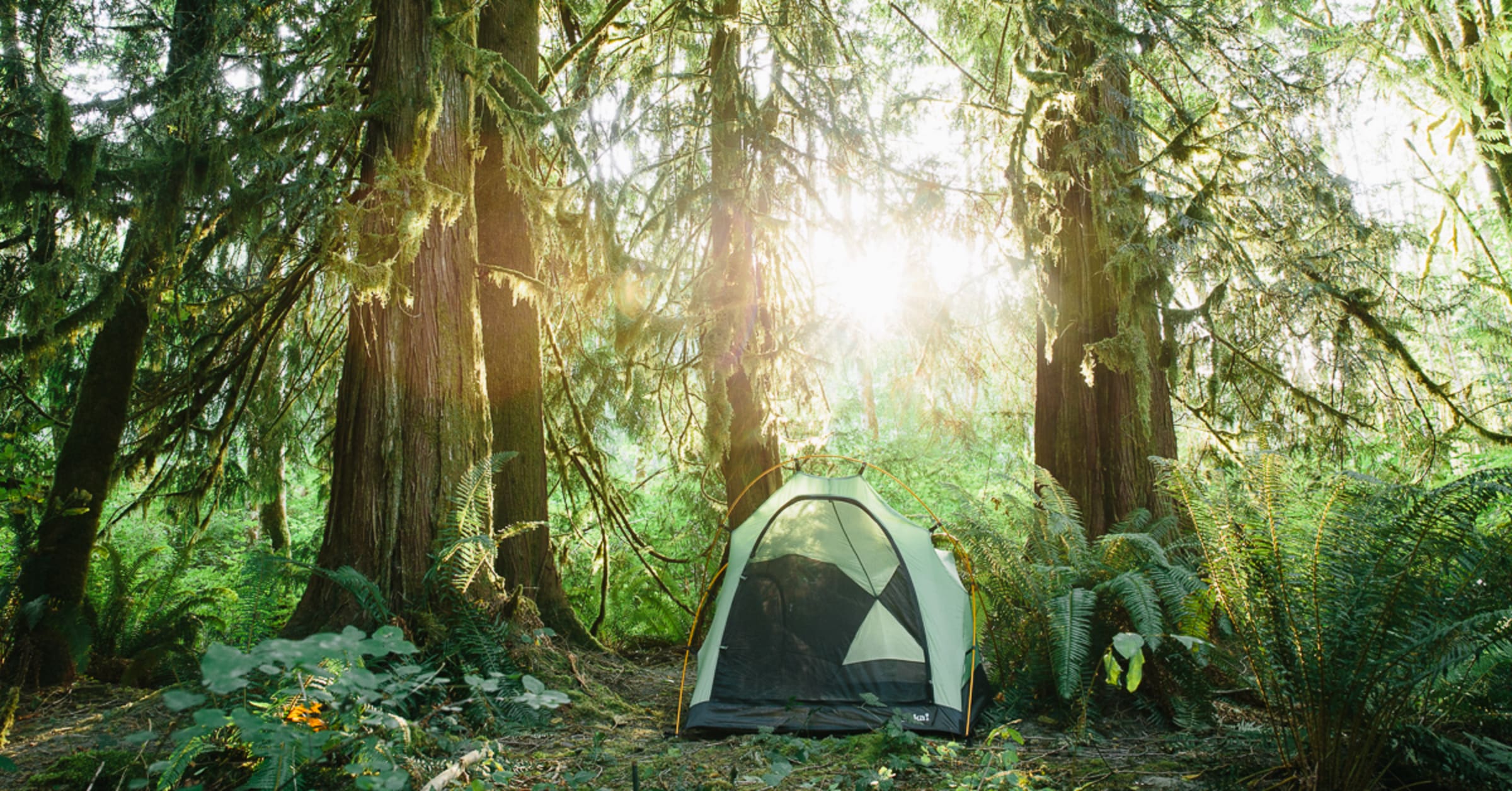 Tent buying guide